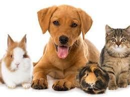 Riverside Views - Marine 2