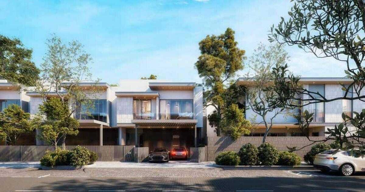 The Next Chapter - Pinewood Village